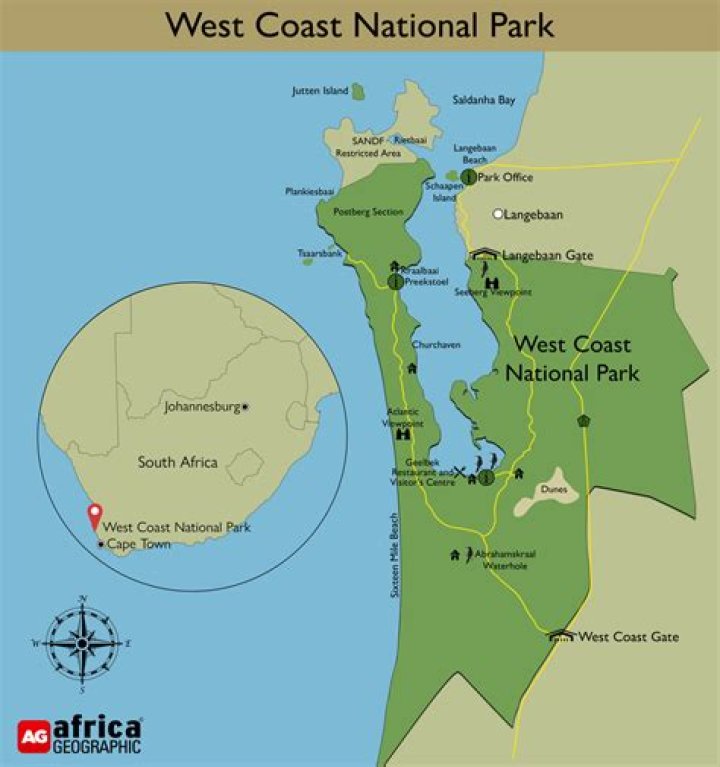 Who controlled the west coast of Africa?