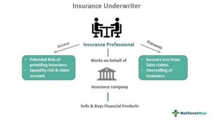 Who is insured under insurance?
