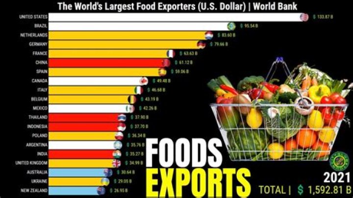 Who is the biggest exporter of corn?