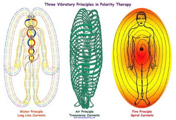 Who is the founder of polarity therapy?