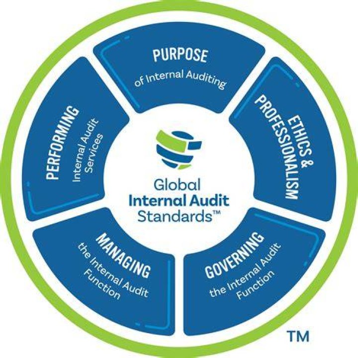 WHO issues auditing standards in UK?