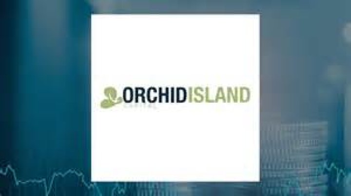 Who owns Orchid Island Capital?