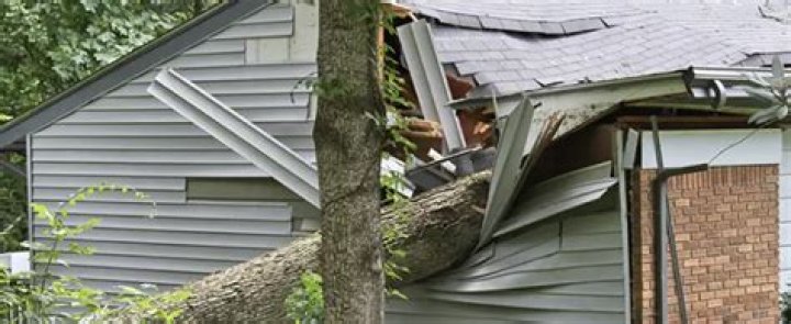 Whose insurance pays if a neighbor tree falls on my house?