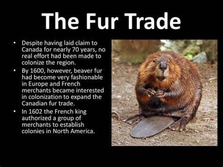 Why did the fur trade matter?