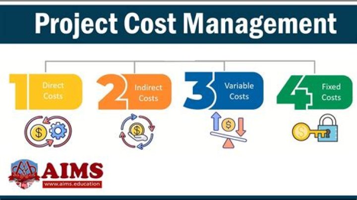Why do many IT professionals may overlook project cost management and how this might affect the ability to complete projects within budget?