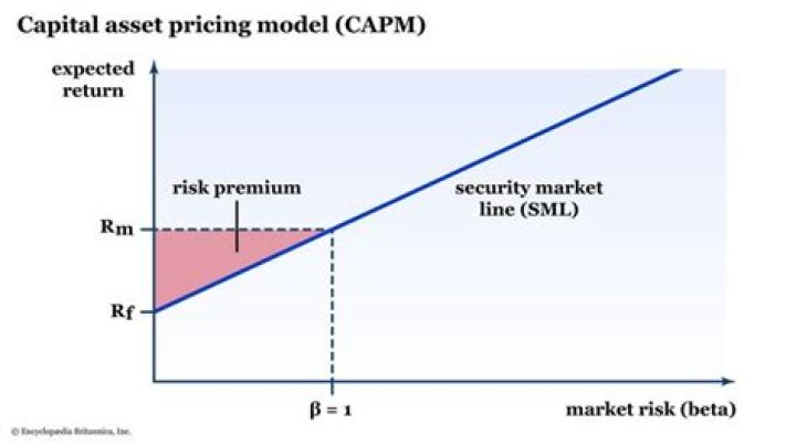 Why does CAPM disregard Diversifiable risk?