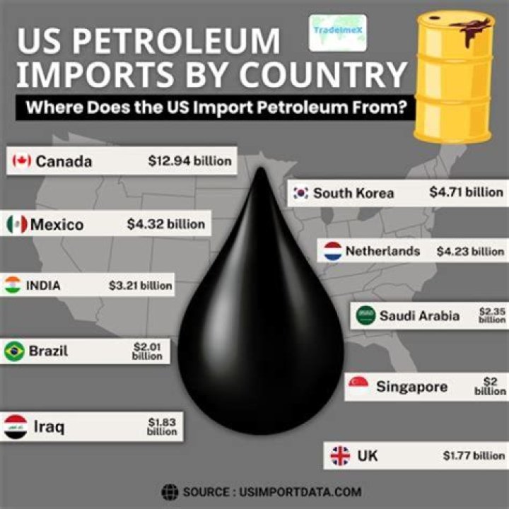 Why does the US import oil Brainly?