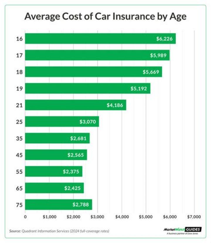 Why is car insurance more expensive for young drivers?
