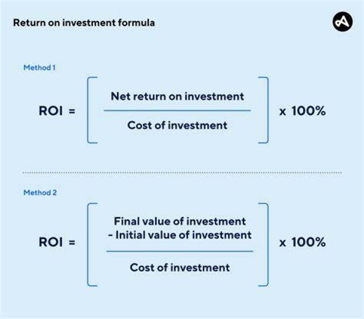 Why is there a need to combine return on investment ROI with long term performance measures?