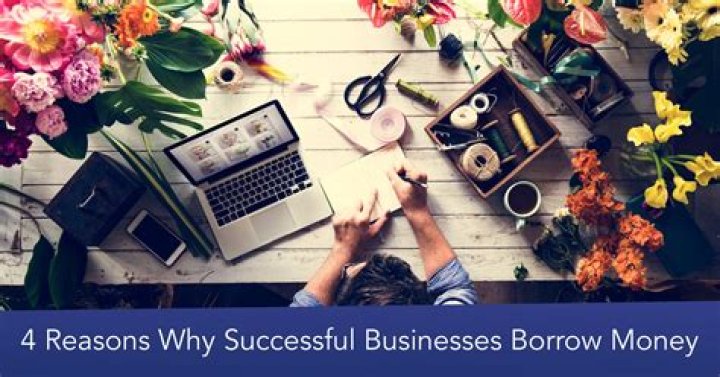 Why might a business borrow money?