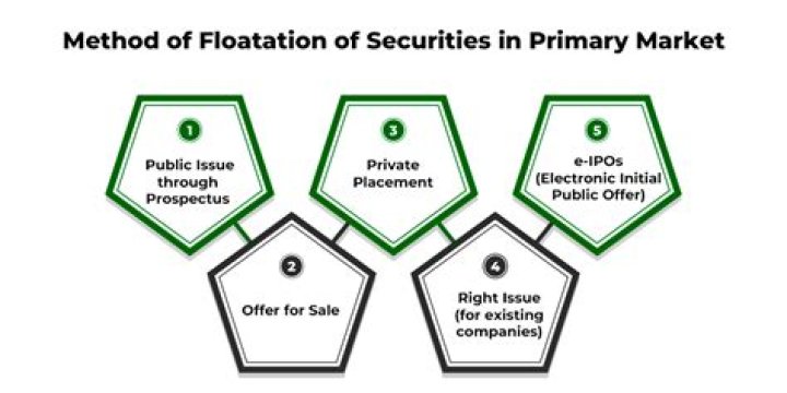 Why might a corporation want to raise long-term capital through a private placement rather than a public offering?