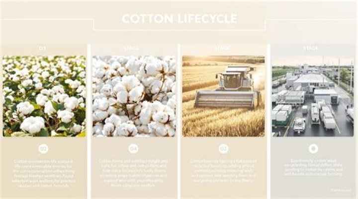 Why the strength of wet cotton cloths is higher than its dry state?