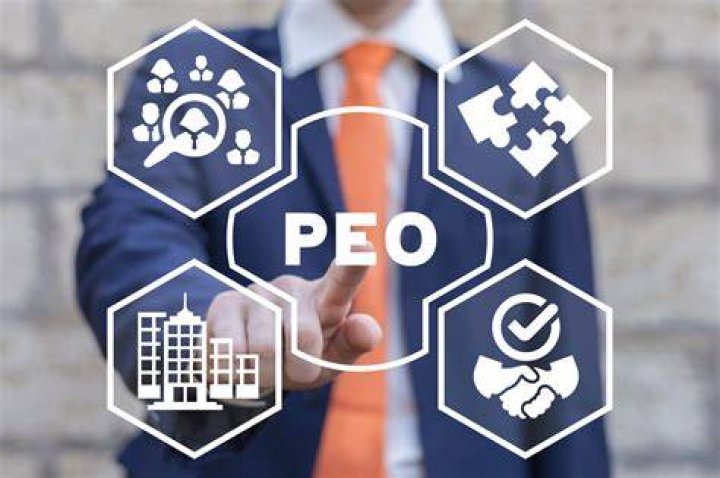 Why would a company use a PEO?
